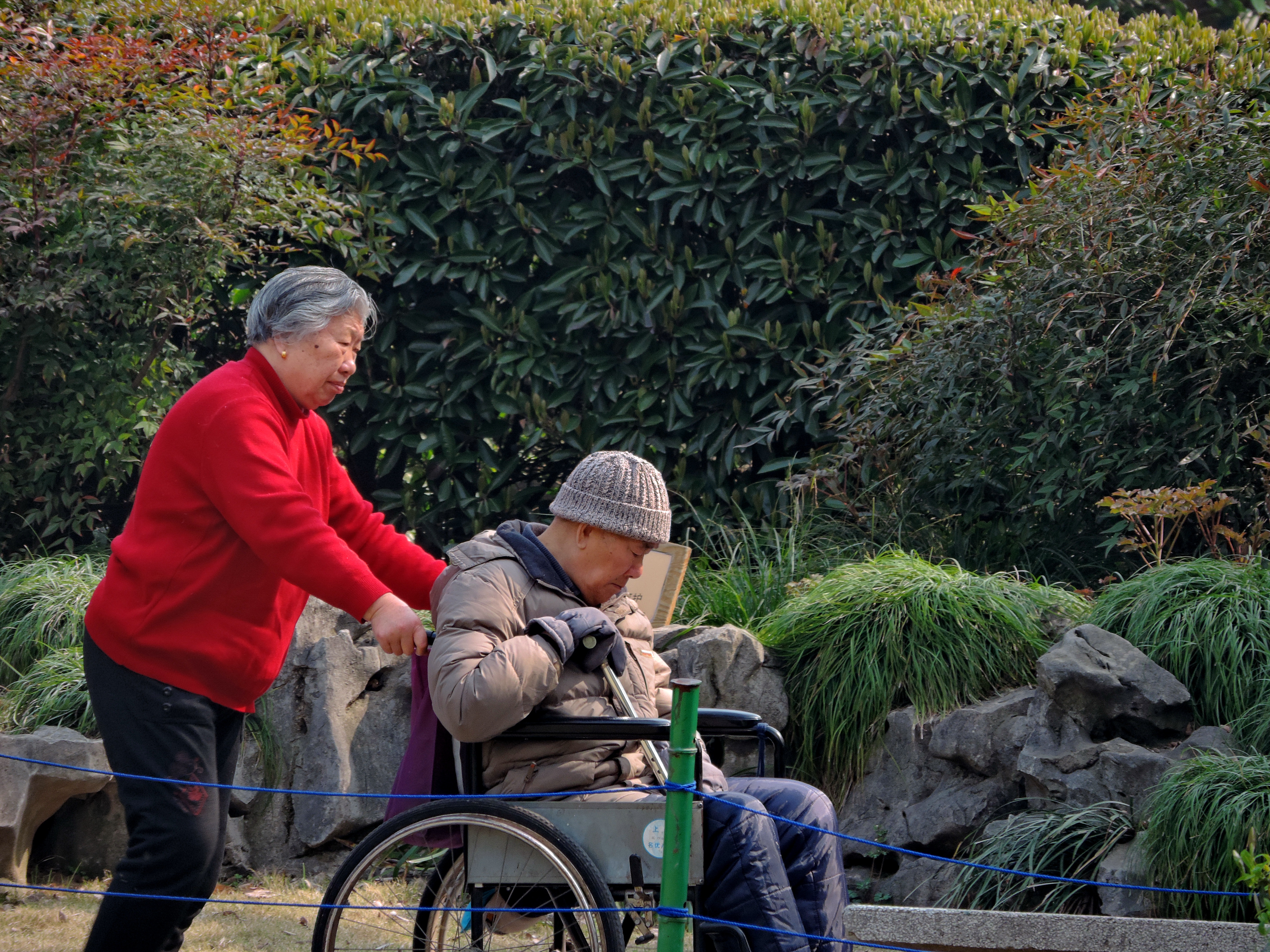 老伴软件，数字时代的伴侣关系管理新探索