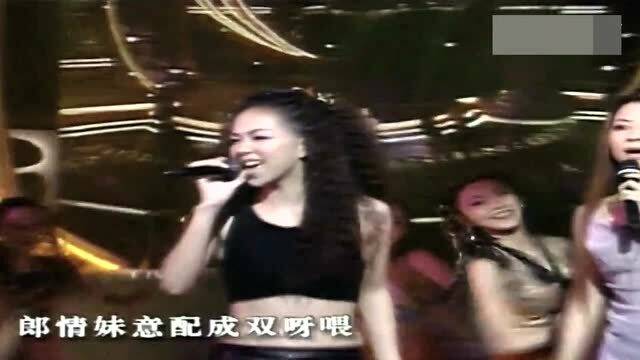 张惠妹音乐传奇，深度探讨下载之路，站在高岗上的歌声盛宴