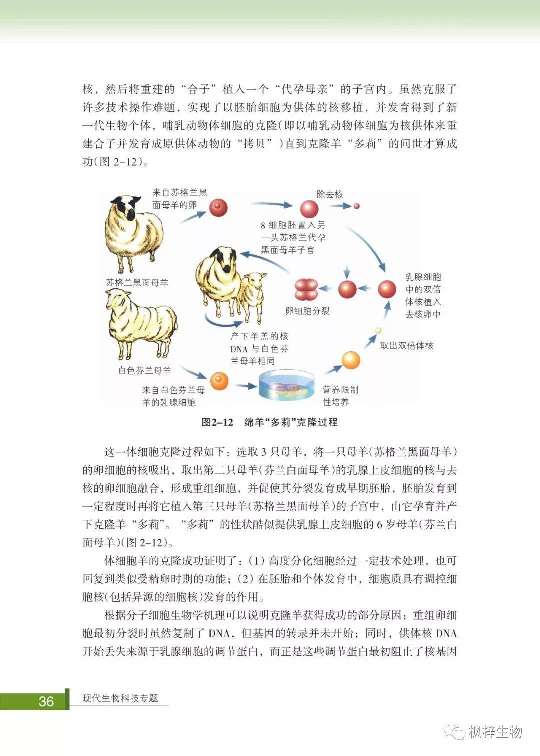 生物书下载，探索生命科学的新途径