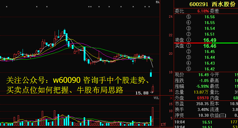 最新消息解析，关于股票代码600291的全面解读