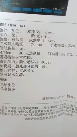 羊水指数最新标准详解，深入了解与解读