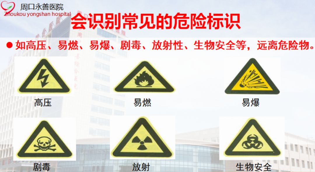 健康知识最新互动详情的探索之旅启程