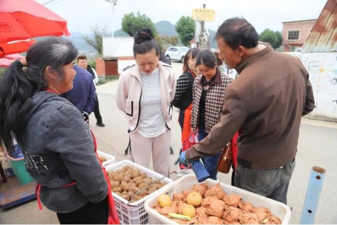 西游汉字下载，开启文字冒险之旅