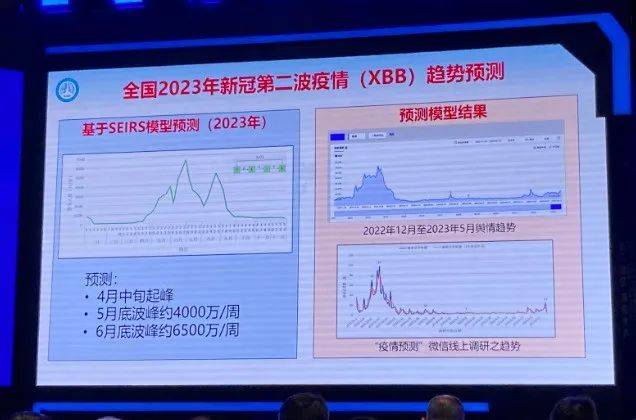 2024年11月新冠高峰,专业分析解释定义_复刻款60.868