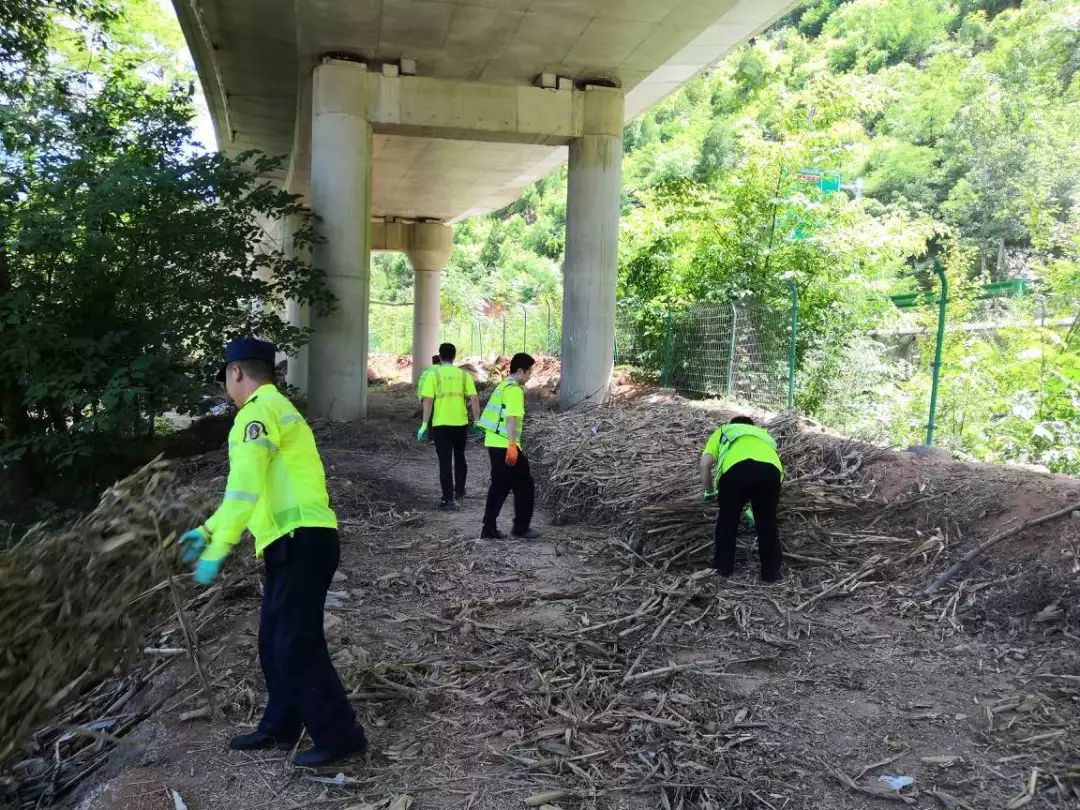 柴柏村最新交通动态报道