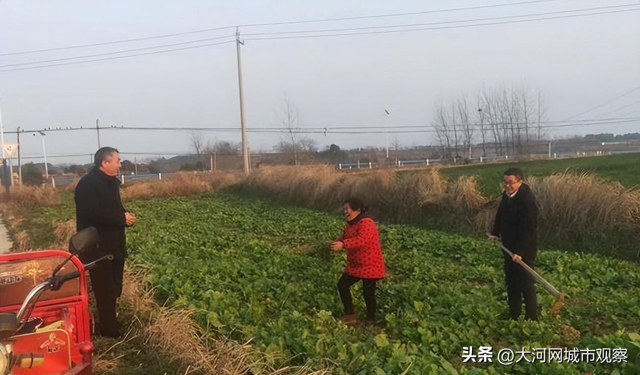 罗山县市场监督管理局最新项目概览与动态