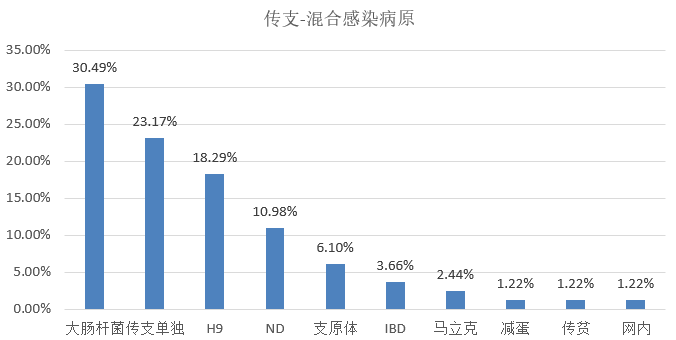 2024年12月7日 第39页