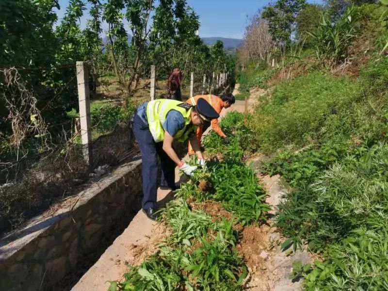 五甲坪村民委员会，乡村交通迈向现代化变革之路