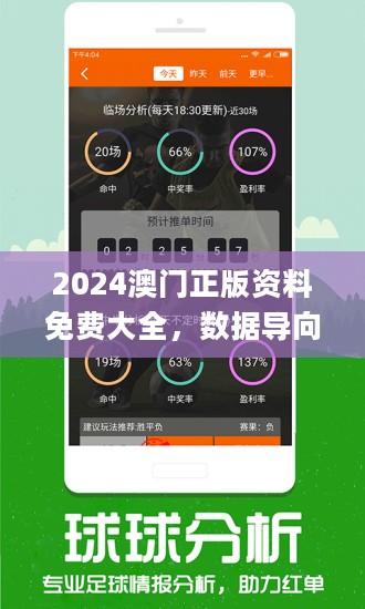 2024年新奥正版资料免费大全,实地数据分析计划_Lite75.594