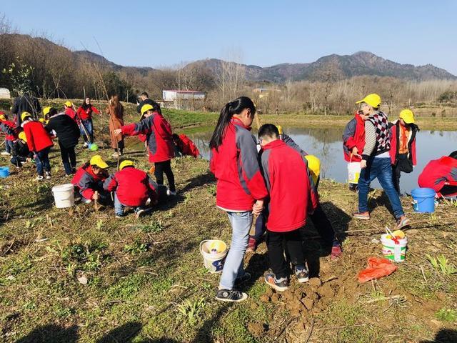 平桥区小学新任领导引领未来教育启航