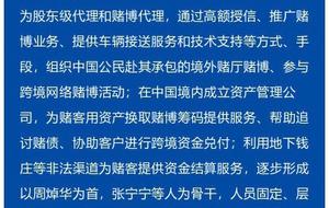 澳门三肖三码三期凤凰,深度调查解析说明_领航版30.815