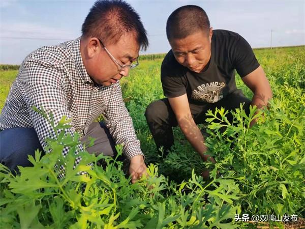 四方台区市场监督管理局领导团队全新亮相，未来工作展望与期待