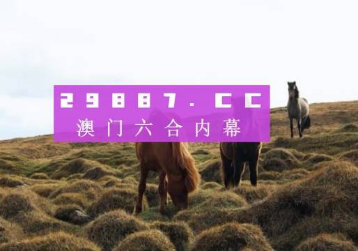 新奥门图库总资料开奖,可靠研究解释定义_网红版97.763