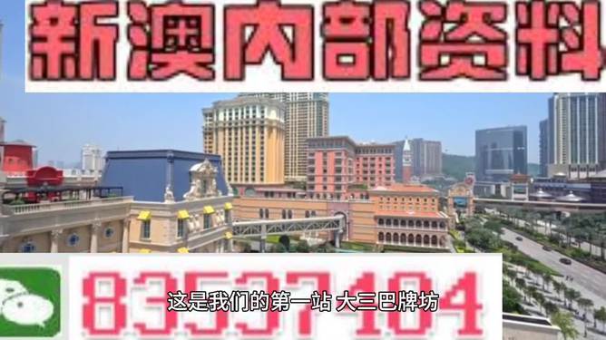 新澳2024年精准正版资料,时代资料解释落实_游戏版256.183