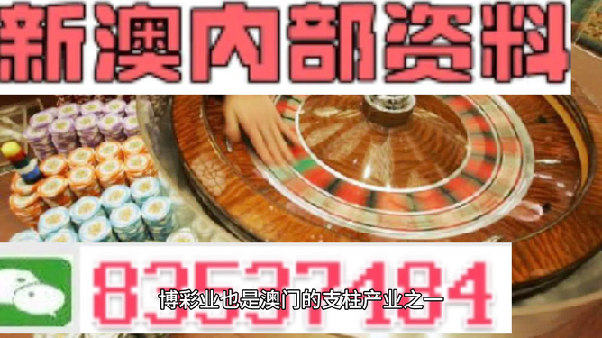 新澳门正版资料免费大全精准,适用性执行设计_策略版14.502