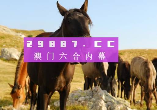 新澳门管家婆一码一,深度分析解释定义_Console98.508