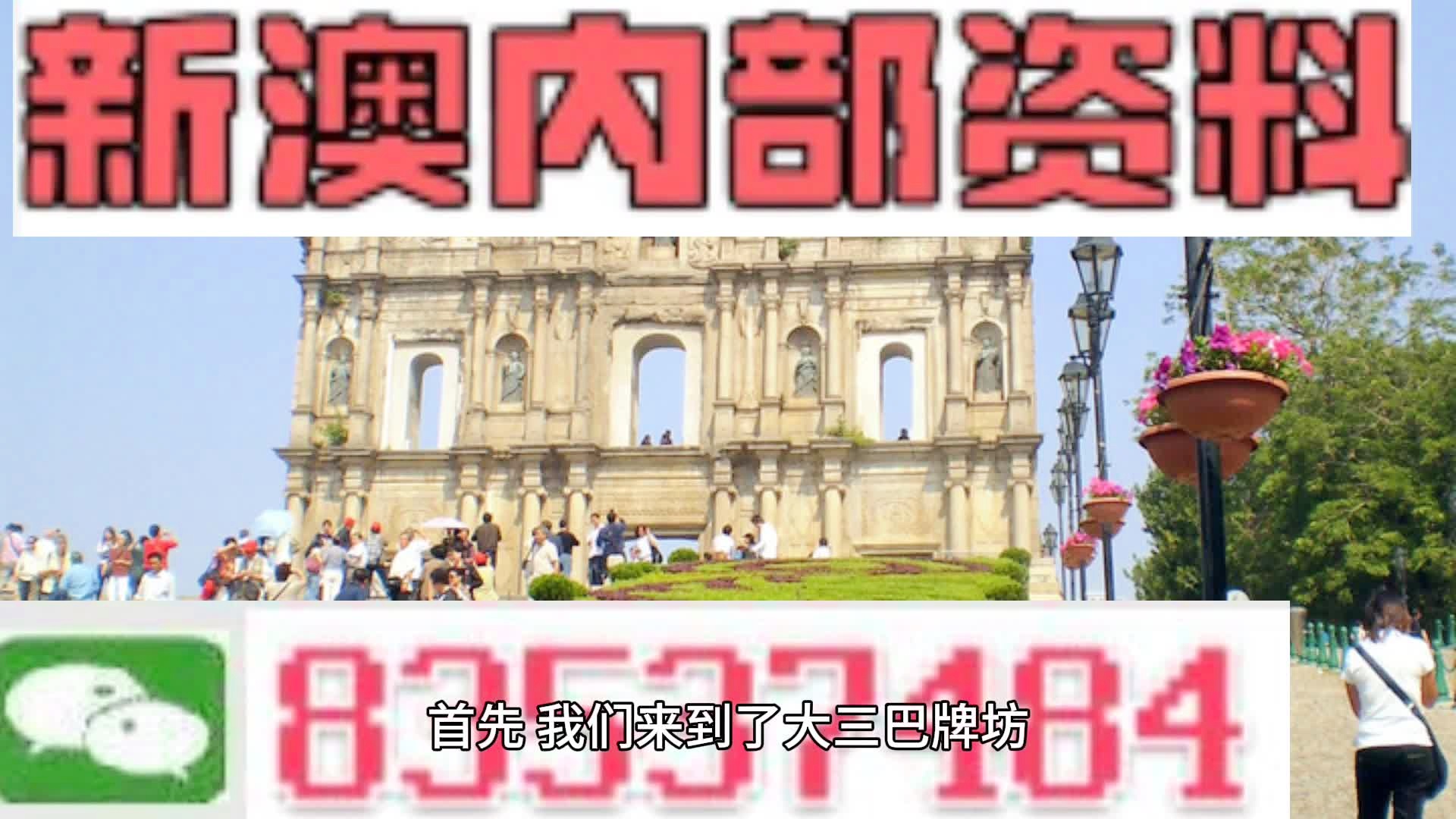 新澳门内部资料精准大全,真实解答解释定义_游戏版256.184