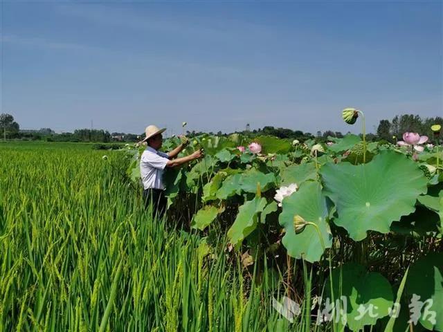 荷塘区自然资源和规划局发布最新消息