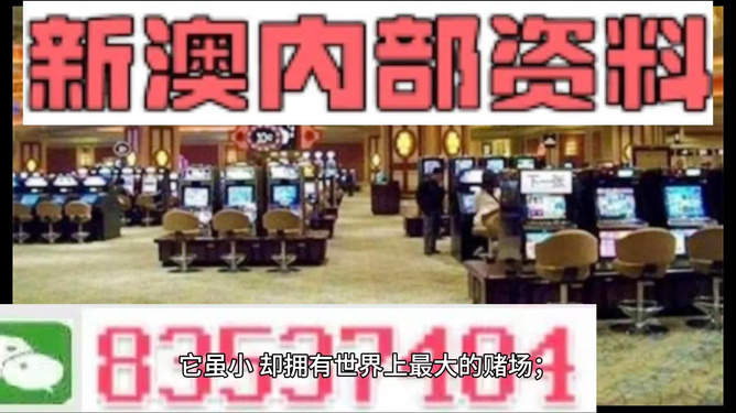 2024新澳精准资料免费提供,澳门内部,时代资料解释落实_游戏版6.336