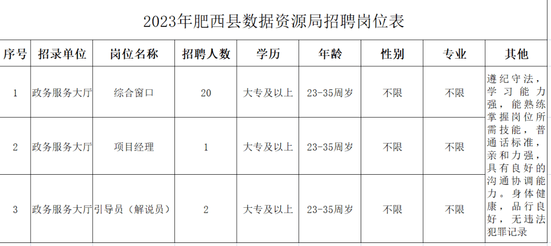 肥西县数据和政务服务局最新发展规划深度探讨