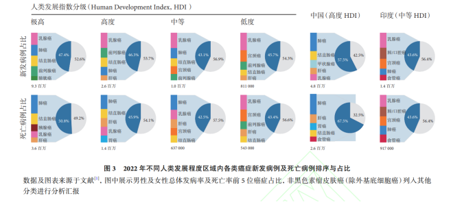 新澳门中特网中特马,全面数据策略解析_Chromebook54.500