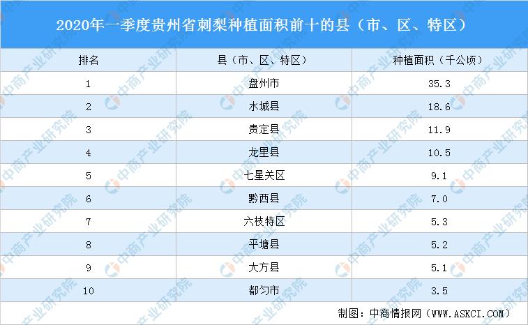 贵定县统计局最新招聘概况信息速递