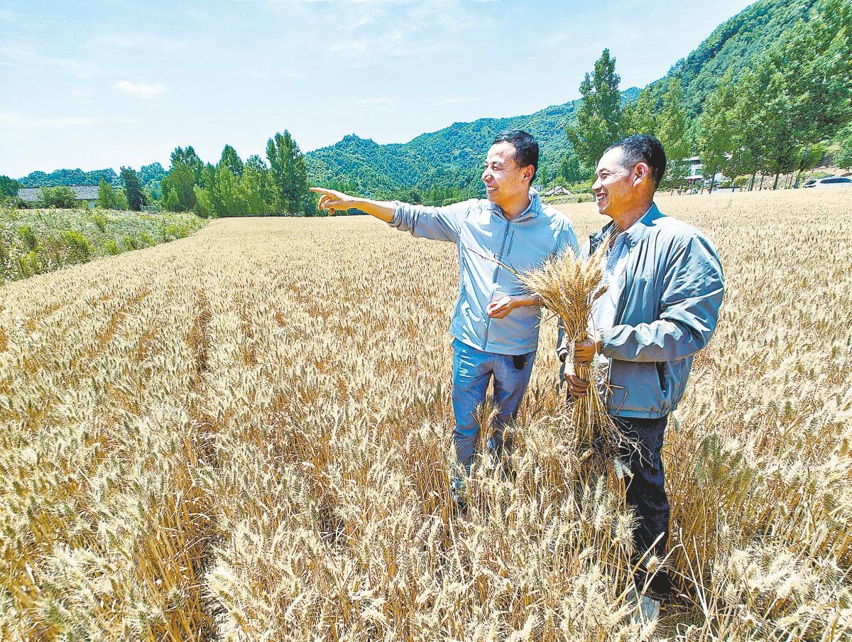 商南县初中最新动态报道