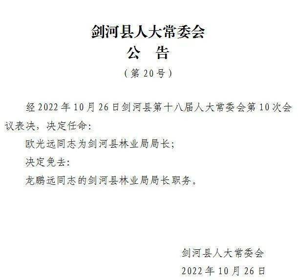 刘川村委会人事任命推动乡村振兴，引领未来新篇章