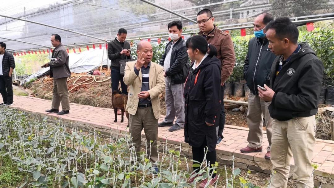 大平瑶族乡新项目，地区发展的强大引擎